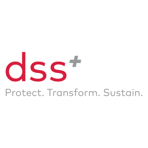 DSS Consulting logo